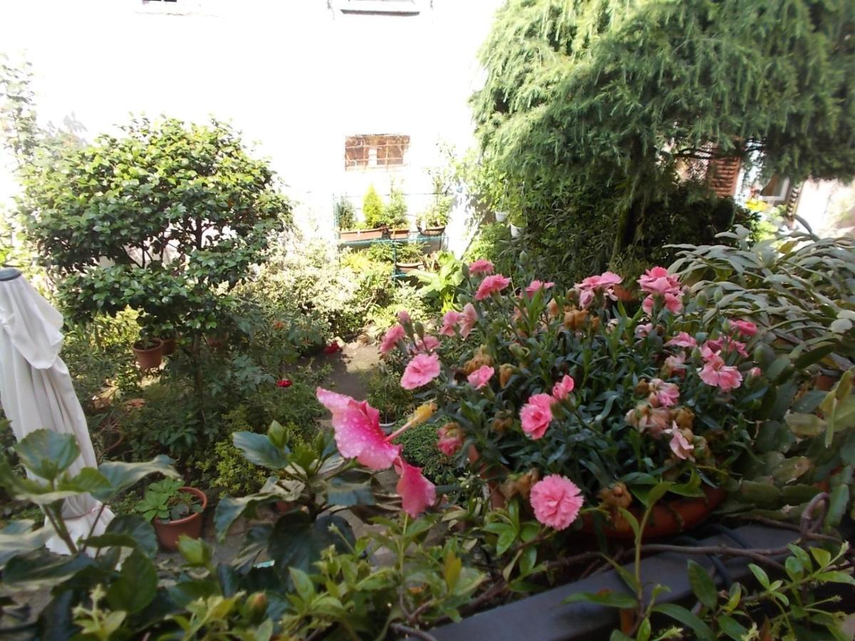 B&B Zia Lina Dongo Ngoại thất bức ảnh